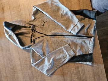 Puma jack beschikbaar voor biedingen