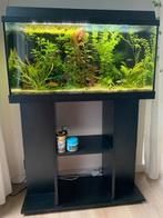 Jewel Aquarium, Ophalen, Zo goed als nieuw, Gevuld zoetwateraquarium
