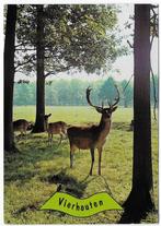 Vierhouten Gelopen Ansichtkaart ( B5329 ), Verzamelen, Ansichtkaarten | Nederland, Ophalen of Verzenden, 1980 tot heden, Gelopen