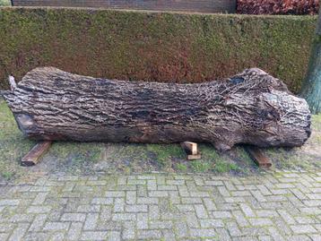 Populieren boomstam voor schaaldelen planken of brandhout. beschikbaar voor biedingen