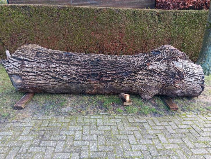 Populieren boomstam voor schaaldelen planken of brandhout., Tuin en Terras, Haardhout, Stammen, Overige houtsoorten, 3 tot 6 m³