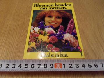 sticker Bloemen houden van mensen  Haal ze in huis  beschikbaar voor biedingen