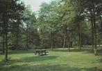 SCHOONOORD Picknickplaats, Verzenden, 1980 tot heden, Gelopen, Drenthe