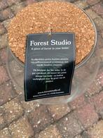 Forest Studio Glazen Pot met Kurk - Mini-Ecosysteem, Ophalen, Overige soorten, Halfschaduw, In pot