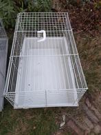 hok voor cavia's, Dieren en Toebehoren, Gebruikt, Rat, Hok, 75 tot 110 cm