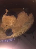Grote Paardenknuffel - 73.5 cm, Kinderen en Baby's, Speelgoed | Knuffels en Pluche, Ophalen of Verzenden, Zo goed als nieuw, Paard