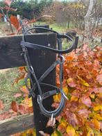 Kaptoom en hoofdstel shetlander, Dieren en Toebehoren, Paarden en Pony's | Hoofdstellen en Tuigage, Ophalen, Gebruikt, Overige soorten