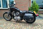 Sportster 883 uit 2005, Motoren, Motoren | Harley-Davidson, Chopper, 883 cc, Particulier