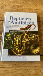 Reptielen en Amfibieën, Amfibie