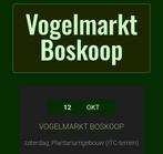 Vogelmarkt Boskoop 12-10-2024, Meerdere dieren, Kleurkanarie