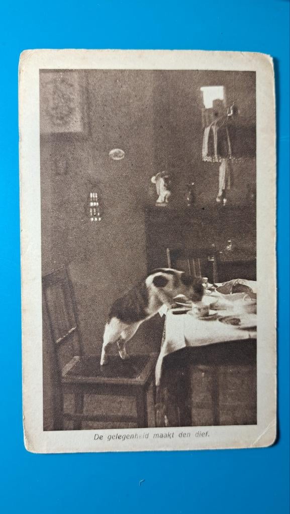 Poes kat Gelegenheid maakt de dief, Ophalen of Verzenden, Voor 1920, Gelopen