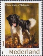 Nederland- Persoonlijke Goud- Friesland- Hond- Friese Stabij, Verzenden, Na 1940, Postfris