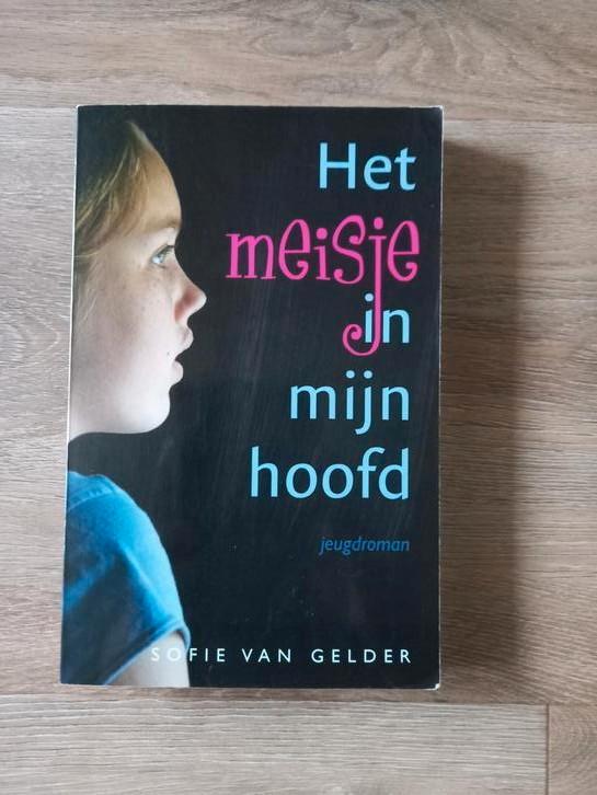 S. van Gelder - Het meisje in mijn hoofd, Boeken, Kinderboeken | Jeugd | 13 jaar en ouder, Zo goed als nieuw, Ophalen of Verzenden