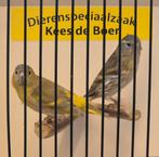 Koppel bruine Europese sijzen