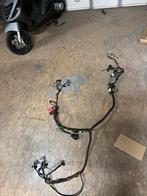 Piaggio Zip iGet E4 Kabelboom + Malossi ECU, Fietsen en Brommers, Brommeronderdelen | Scooters, Ophalen of Verzenden, Gebruikt