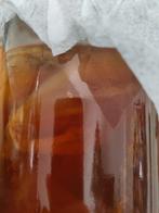 Kombucha scoby met starter vloeistof, Diversen, Ophalen