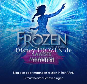 4 kaartjes voor de musical Frozen op zaterdag 1 november beschikbaar voor biedingen