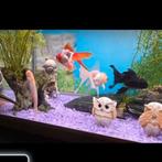 Aquarium met verschillende vissen. Wegens beëindigen hobby., Dieren en Toebehoren, Vis, Zoetwatervis