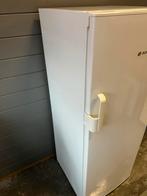 Bosch vriezer, Witgoed en Apparatuur, Ophalen, Zo goed als nieuw, 60 tot 90 cm, 140 tot 160 cm