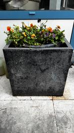 Bloem planten bak tuin balkon vierkant, Ophalen, Vierkant, Minder dan 60 cm, Balkon