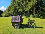 Bakfiets Vogue Carry 3, 4 kinderen of meer, Gebruikt, Elektrisch, Ophalen