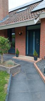 Dennen boompjes 2 stuks in pot, Tuin en Terras, Planten | Tuinplanten, Ophalen, Zomer, Volle zon