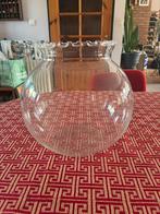 Glazen vaas / terrarium, Wit, Ophalen of Verzenden, Minder dan 50 cm, Glas