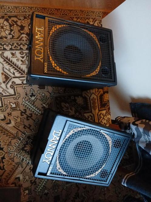 Tannoy  . LYNX ( puma ) . boxen, Muziek en Instrumenten, Versterkers | Bas en Gitaar, Gebruikt, 100 watt of meer, Ophalen of Verzenden