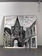 Tegel elburg vispoort, Antiek en Kunst, Ophalen of Verzenden