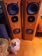 JM Lab 610 Olymp Speakers - Topkwaliteit!, Gebruikt, 120 watt of meer, Front, Rear of Stereo speakers, Ophalen