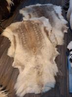 Mooie rendiervachten!, Nieuw, Crème, Rechthoekig, 50 tot 100 cm