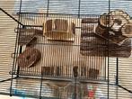 Terrarium - hamster, Kooi, Gebruikt, Hamster, 75 tot 110 cm