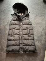 Bodywarmer Maat S, Ophalen, Zo goed als nieuw, Maat 36 (S), Zwart