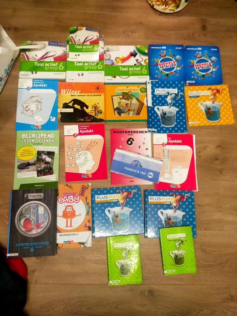 Groep 6, Ophalen of Verzenden, Zo goed als nieuw, Overige niveaus, Nederlands