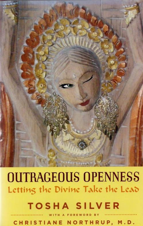 Outrageous Openness - Tosha Silver BOEK 9781476789743 Engels, Boeken, Esoterie en Spiritualiteit, Zo goed als nieuw, Ophalen of Verzenden