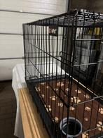 Nieuwe LovePet bench transportkooi hondenbench transportbox, Ophalen of Verzenden, Nieuw