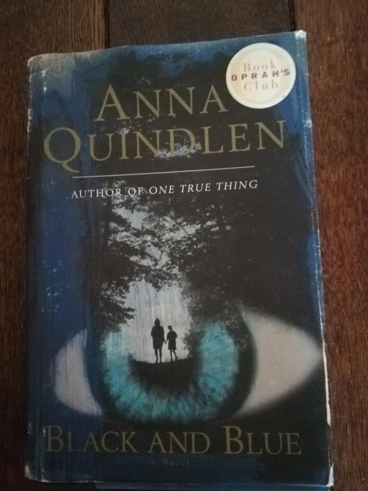 BLACK AND BLUE-Anna Quindlen, Boeken, Thrillers, Gelezen, Amerika, Ophalen of Verzenden