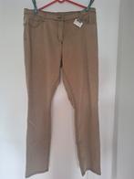 Mooie nieuwe dreamstar broek, Dreamstar, Maat 46/48 (XL) of groter, Nieuw, Ophalen of Verzenden