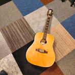 Eko 12-String - Made in Italy, Ophalen, Gebruikt, Overige typen