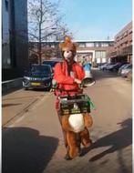 Carnaval De Bezorgbeer, 33 - 40 uur, Overige niveaus, Vanaf 10 jaar, Overige vormen