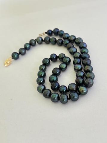 Prachtige Parel Ketting Tahitiaanse Peacock Groene Parels beschikbaar voor biedingen