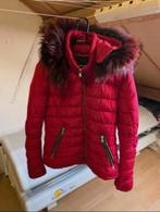 Froccella rode winterjas maat 46 valt als maat 38, Kleding | Dames, Jassen | Winter, Gedragen, Maat 38/40 (M), Ophalen of Verzenden