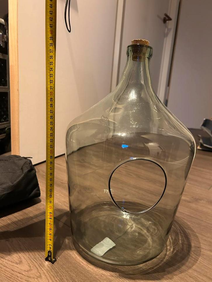 Intratuin Terrarium Vaas - Ideaal voor Ecosysteem, Huis en Inrichting, Woonaccessoires | Vazen, Nieuw, Overige kleuren, Minder dan 50 cm