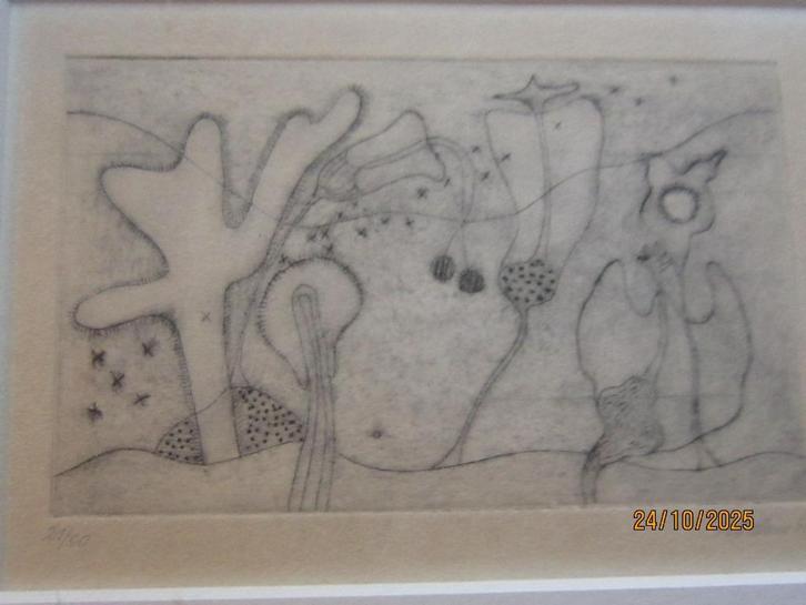 Byzonder gesigneerde ets in wit metalen lijst gesign., Antiek en Kunst, Kunst | Etsen en Gravures, Ophalen