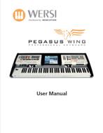 "GRATIS" Handleiding Wersi Pegasus Wing (Download), Ophalen, Nieuw, Overige aantallen, Overige merken
