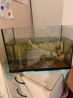 Aquarium en vissen., Dieren en Toebehoren, Vissen | Aquaria en Toebehoren, Ophalen of Verzenden, Gebruikt, Gevuld zoetwateraquarium