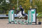 B Pony kinderpony compleet met zadel , hoofdstel enz., Dieren en Toebehoren, B, Springpony, B pony (1.17m tot 1.27m), 11 jaar of ouder