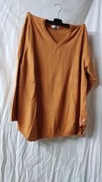 zhen zi trui maat L, Kleding | Dames, Verzenden, Zo goed als nieuw, Overige kleuren, Trui of Vest
