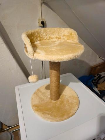 Katten speler beschikbaar voor biedingen