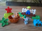 Nieuwe LEGO DUPLO Bos Eenden Set - 10581, Ophalen of Verzenden, Nieuw, Complete set, Duplo